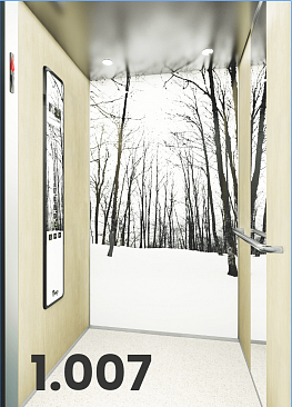 snowy winter forest interior lift finish